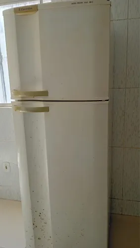 Geladeira