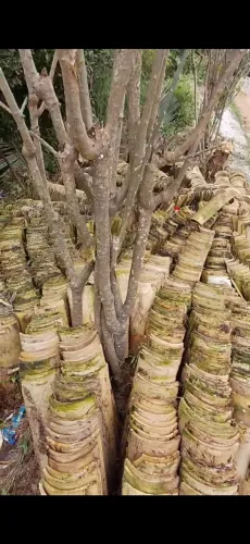 Telhas de cerâmica