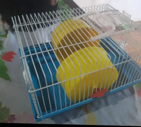 Gaiola