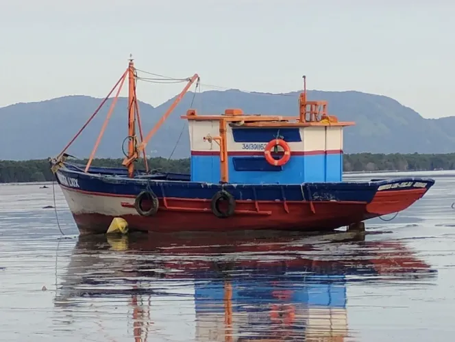 Barco traineira