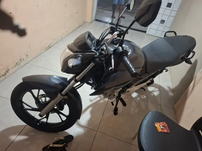 Fan 2019