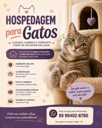 Hospedagem para gatos