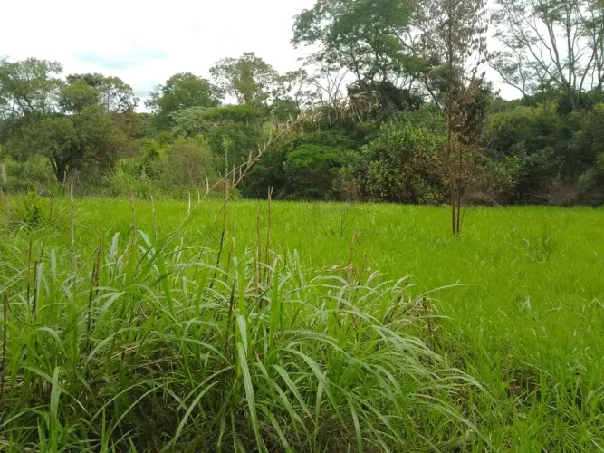 Lindo Terreno/Sitio Jarinu/SP - 18.627,00m2 - Proximo ao Asfalto e Comércio/ Com Córrego n
