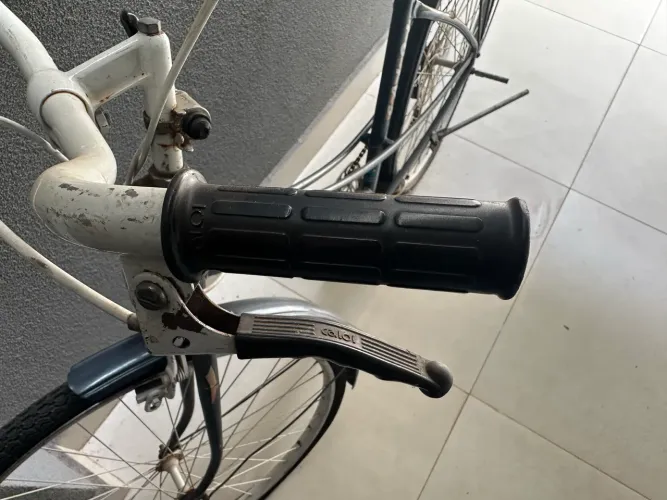 Bike Ceci Antiga