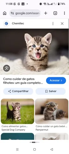 Procura para adoção