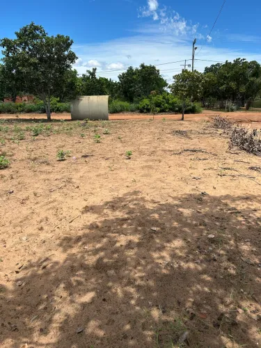 Fica agrotins lote comercial tem outros também mais barato