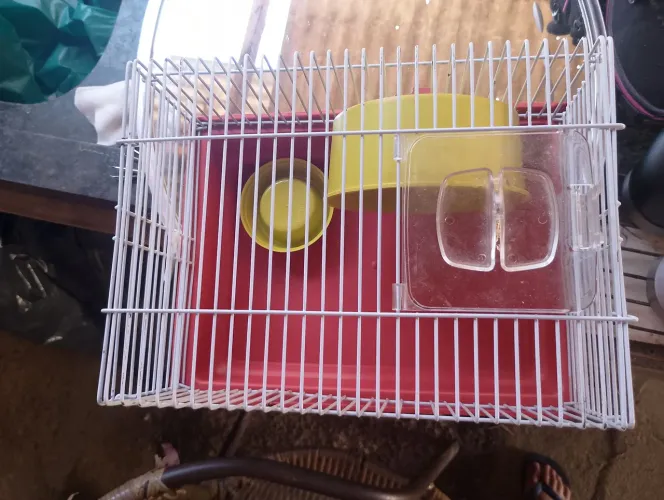 Gaiola para hamster