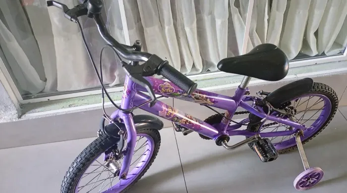 Bicicleta infantil Aro16.