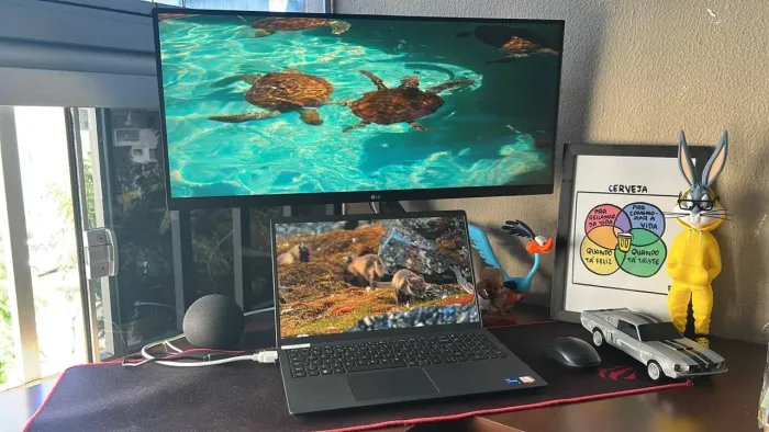 Monitor LG 29" UltraWide Full HD IPS 100Hz 1ms - 29WQ500-B