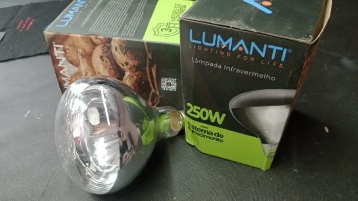 Lâmpada Incandescente Infravermelha Secagem Industrial 250W 220V E27 - 2 unita