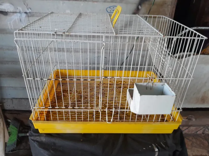 Vende se gaiola um pouco grande