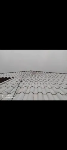 Limpeza e pintura de telhados, aplicação de mantas líquida e asfáltica para vedação .