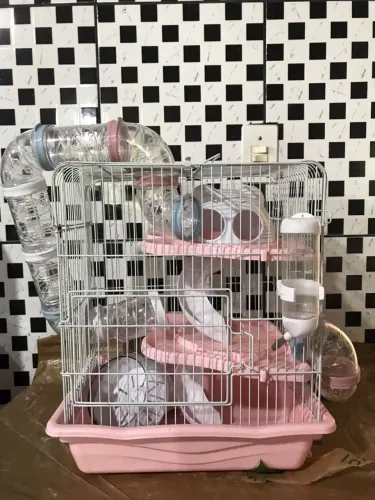 Gaiola safari gigante hamster comedouro bebedouro 3 andares cor rosa