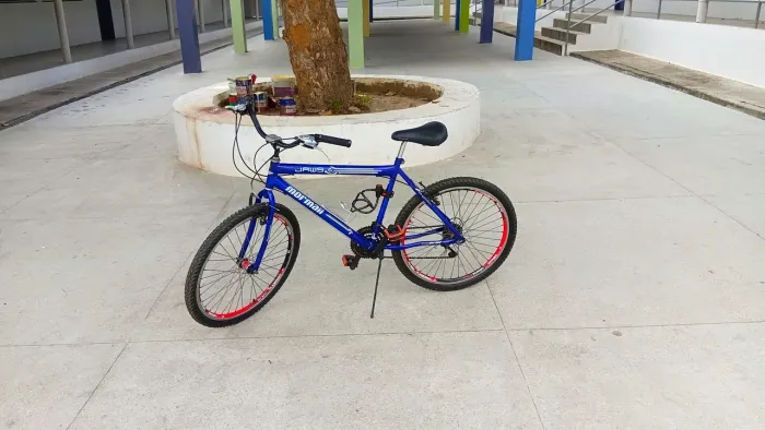 Bicicleta