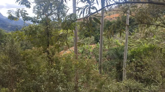 Vendo sítio em santa Teresa Encantado 