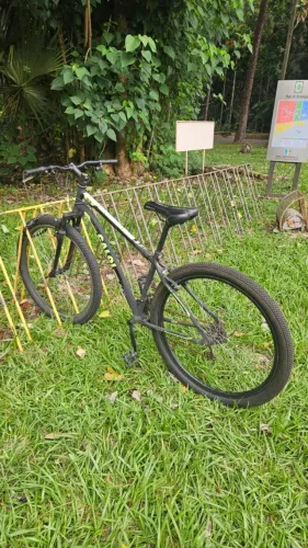 Bicicleta Caloi Velox Aro 29
