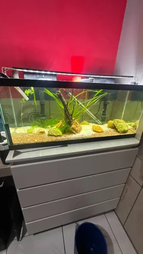 Aquário de 90x40x30 total de 100L