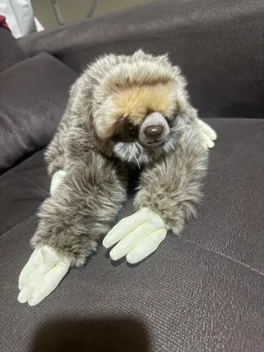 Preguiça de pelúcia 