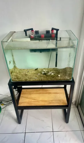 Aquário 72 litros com suporte e filtro