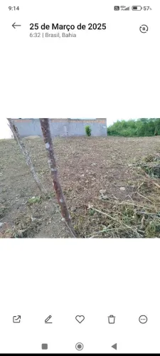 Terreno/ Lote no bairro Lauro Passos