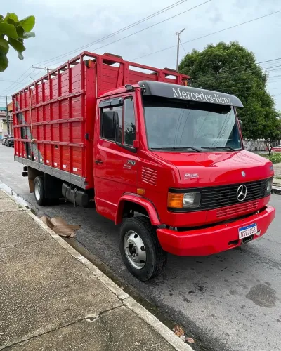 Caminhão 710  Boiadeiro