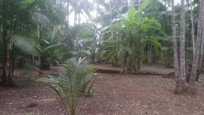 Terreno no Rio Salvador Grande 
