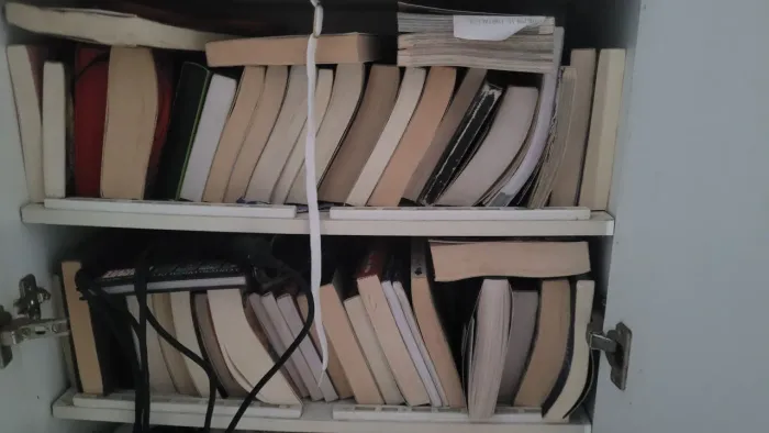 Livros seminovos!