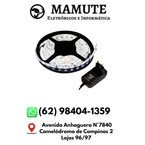 Fita de Led Branco Frio 3528 5 metros com Fonte