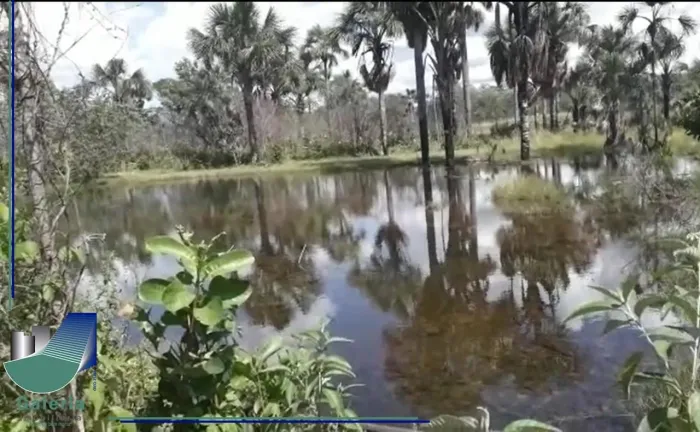 Fazenda a venda 2,220 hectares - Ponte Alta TO Tocantins - vizinha Luiz Eduardo MNagalhães