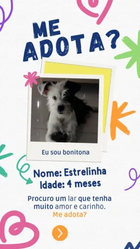 ADOÇÃO RESPONSÁVEL