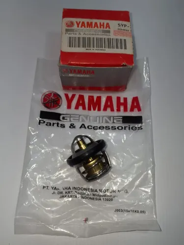 Válvula Termostática Dt 200/200r Original Yamaha