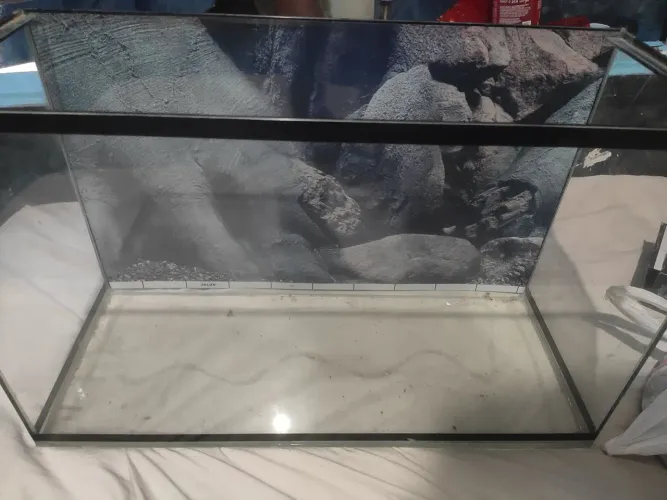 Aquário grande completo com filtro etc(descrição!!)