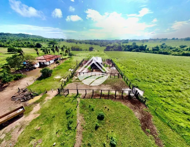 Fazenda para Venda em Arapoema, ampla expansão agropecuária