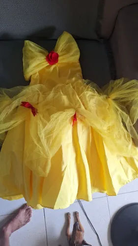 Vestido do menina