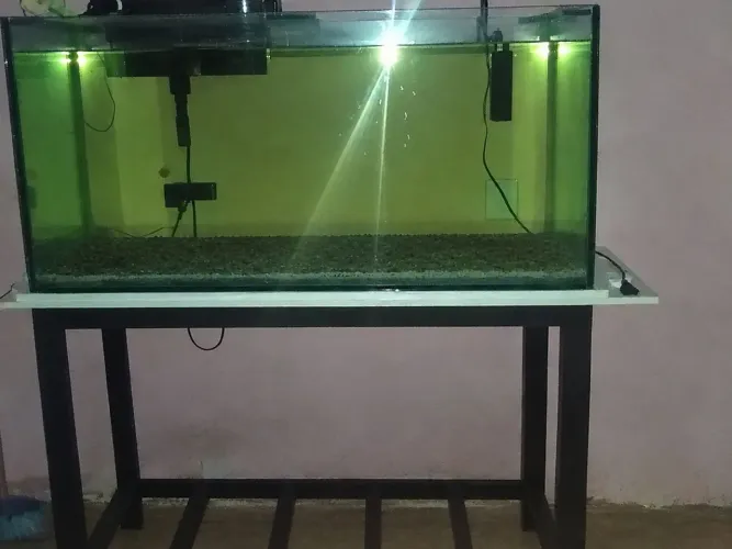 Aquário de 300 litros 