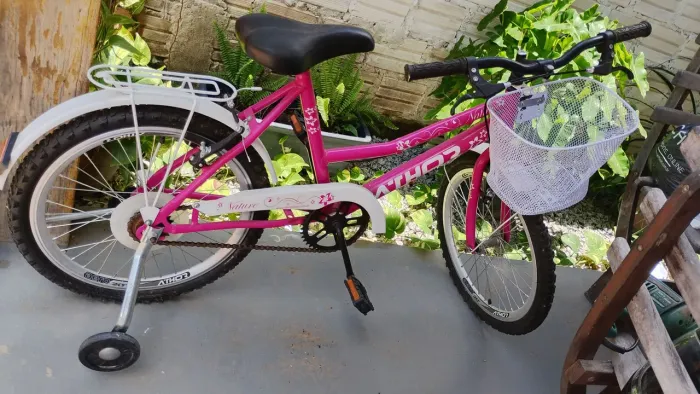 Bicicleta infantil feminina