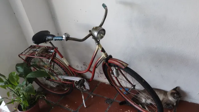 Bicicleta Antiga dos anos 50