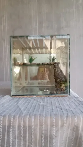 Aquário de 9 litros