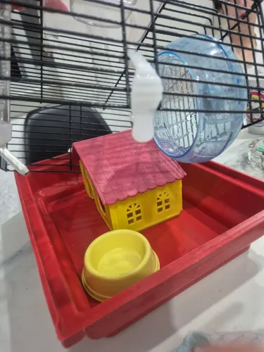 Casinha para hamister roedores
