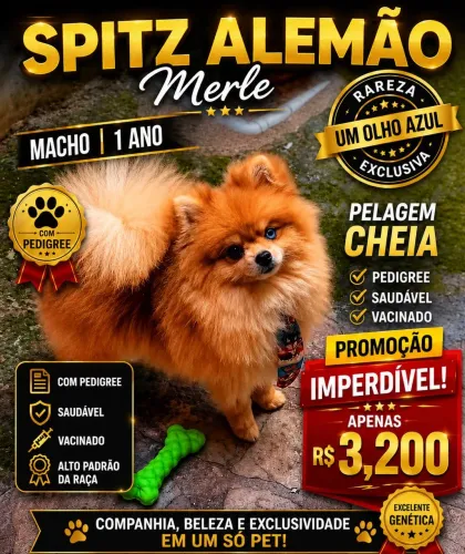 Vendo patriador