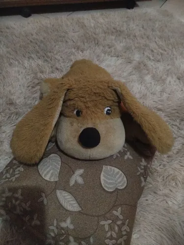 Cachorrinho original da Indonésia 