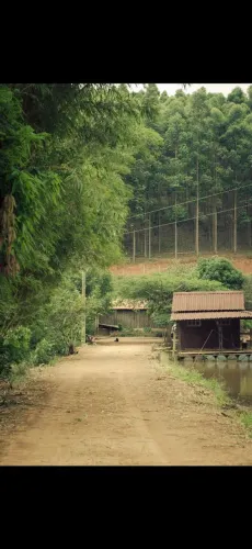 FAZENDA À VENDA EM SÃO GONÇALO DO RIO ABAIXO - MG 42 HACTARES