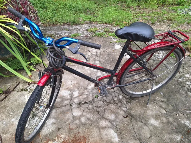Bicicleta caloi poti 