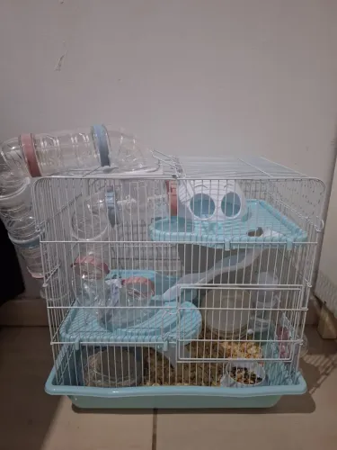 Vendo