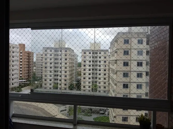 Life Jabotiana 