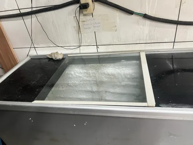 Freezer horizontal