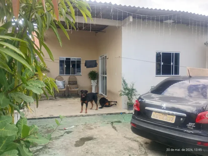 Somente Venda ou troca em sítio no máximo 45km de Manaus 