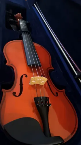 Violino Zelmer