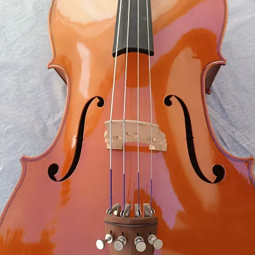 VIOLONCELO EAGLE C200 19 ANOS COMPLETO