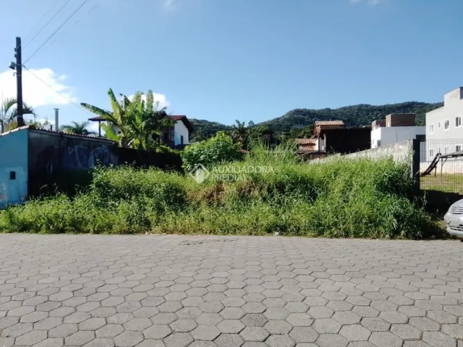 Terreno no campeche